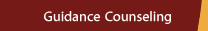 Guidance Counseling